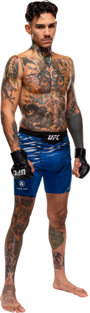 ANDRE FILI